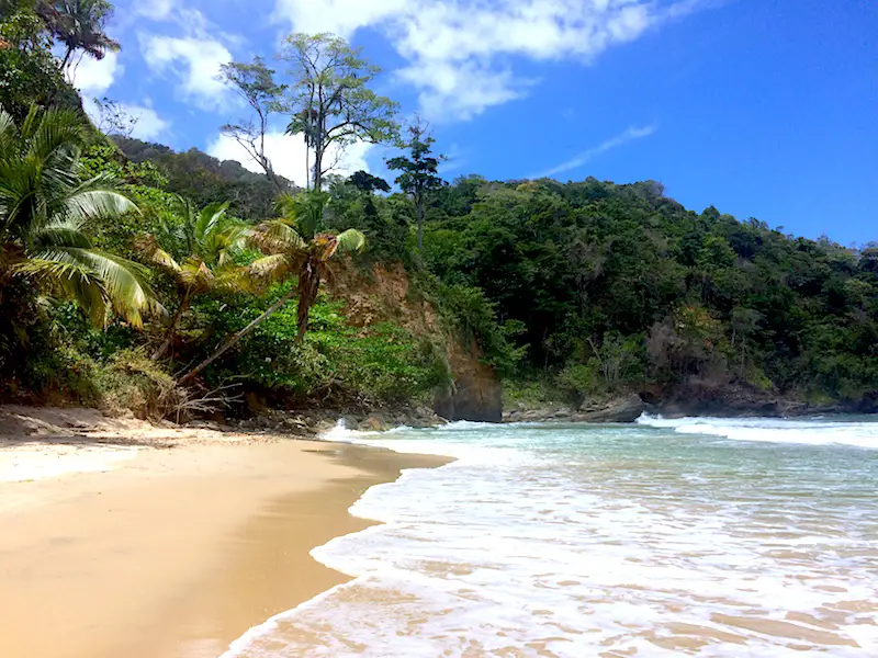 Golden sand and turquoise water at Paragrant Bay, Trinidad.