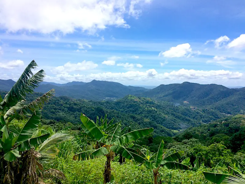 Views of rolling hills and dense jungle across Paramin hills in Trinidad.