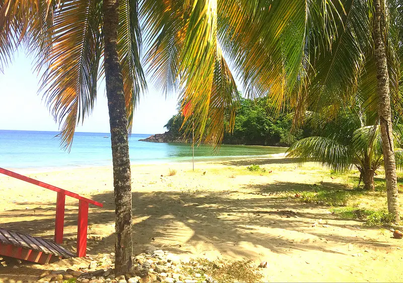 Red stairs to a lifeguard hut under a palm tree on a Caribbean beach, Bloody Bay, Tobago