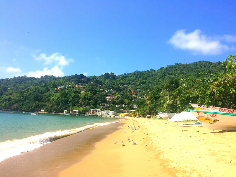 Golden sand beach with fishing boats and seagulls in Charlotteville, Tobago.