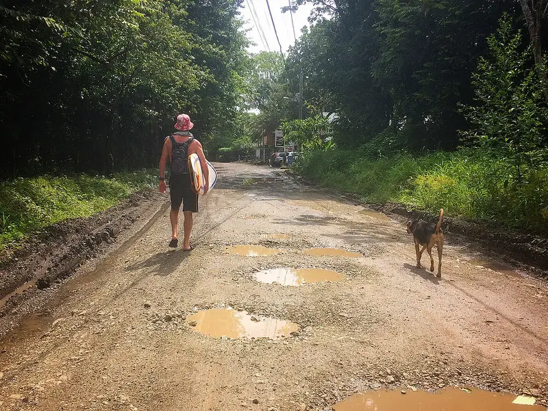 Man carrying surfboard with dog walking down a muddy, potholed road in Nosara, Costa Rica.