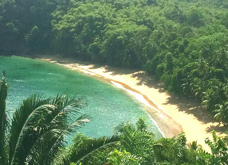 Crescent-shaped bay with emerald waters and thick jungle around Englishman's Bay, Tobago.