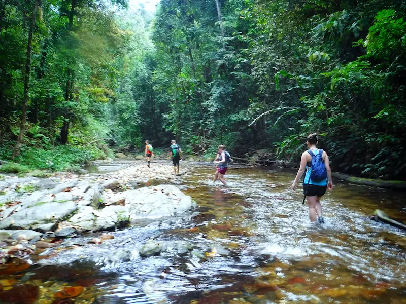 Line of hikers wading through a shallow river on the way to Three Pools, Trinidad.