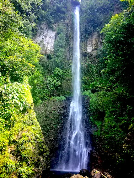 Tall, narrow waterfall into a lush valley in Dominica.