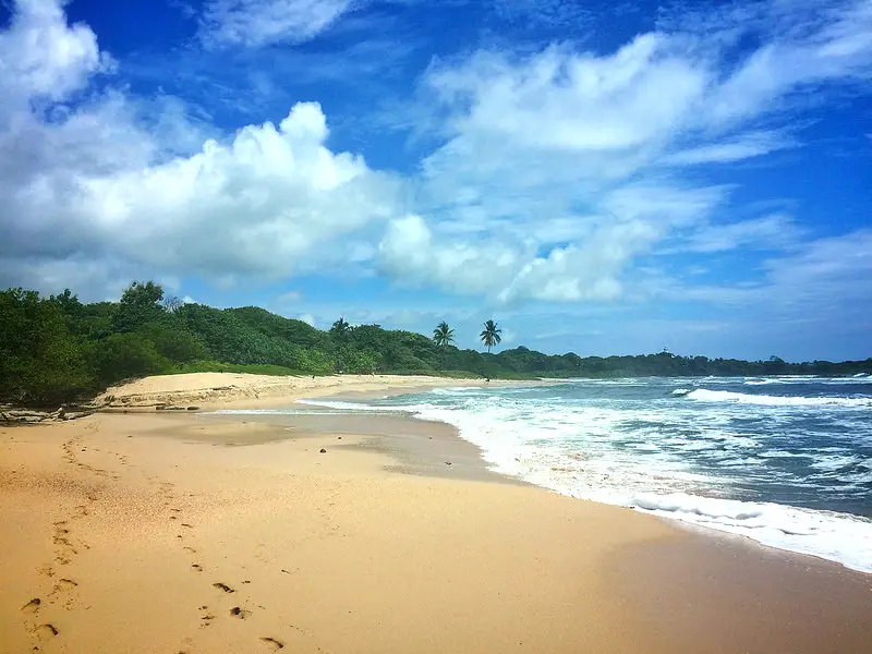 Beautiful, tropical beach at Playa Pelada, Nosara, Costa Rica.