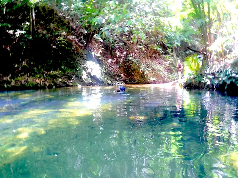 A lady swimming across a river holding her bag above the water in the Trinidad jungle.