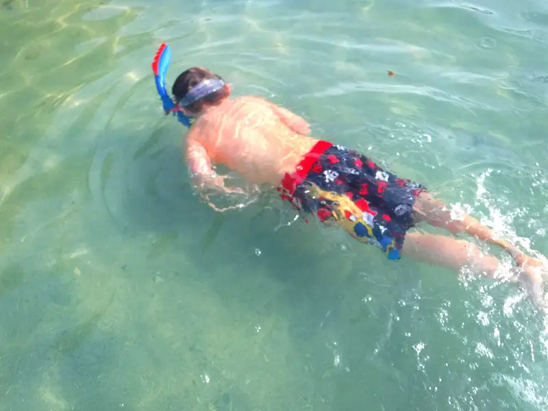 Boy snorkelling in clear blue water in Tobago.