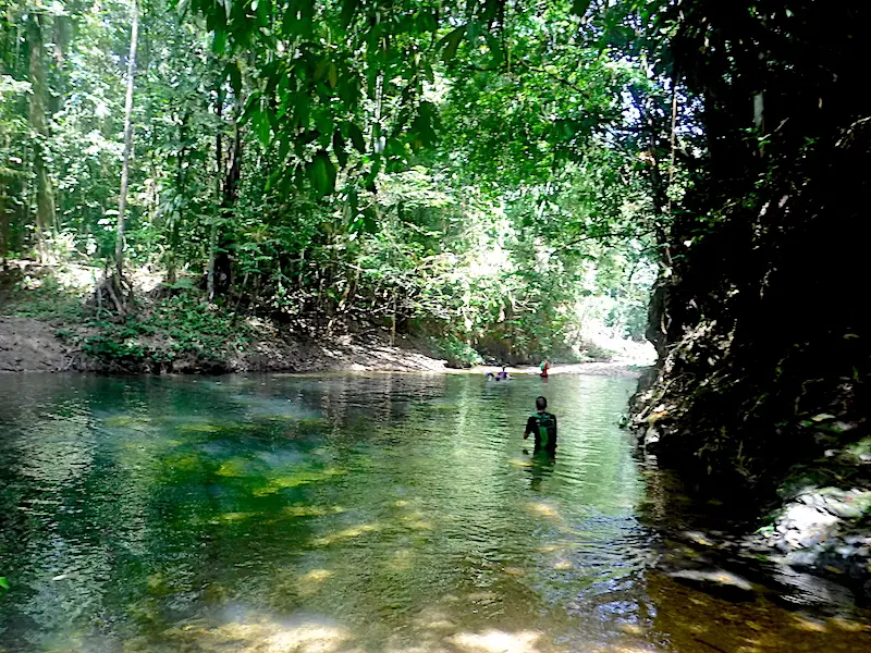 Hikers swimming down a river through the jungle to Three Pools, Trinidad