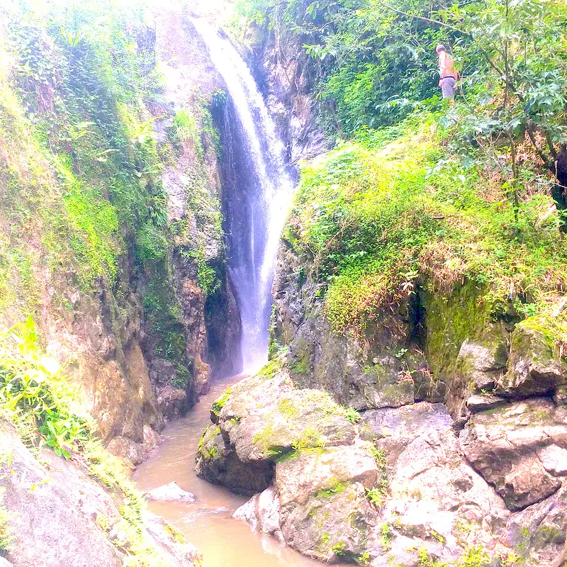 Terry standing on a cliff edge looking at the Highland Waterfall in Tobago.