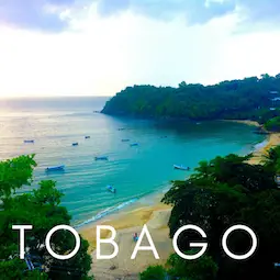 view of Castara Bay, Tobago from above with text overlay 'Tobago'.