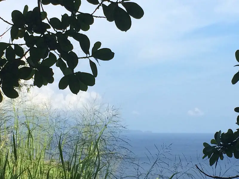 Venezuela from Bamboo Cathedral Trinidad