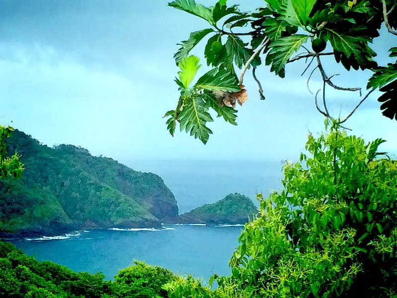View of bay surrounded by green rugged hills through lush green jungle in Dominica.