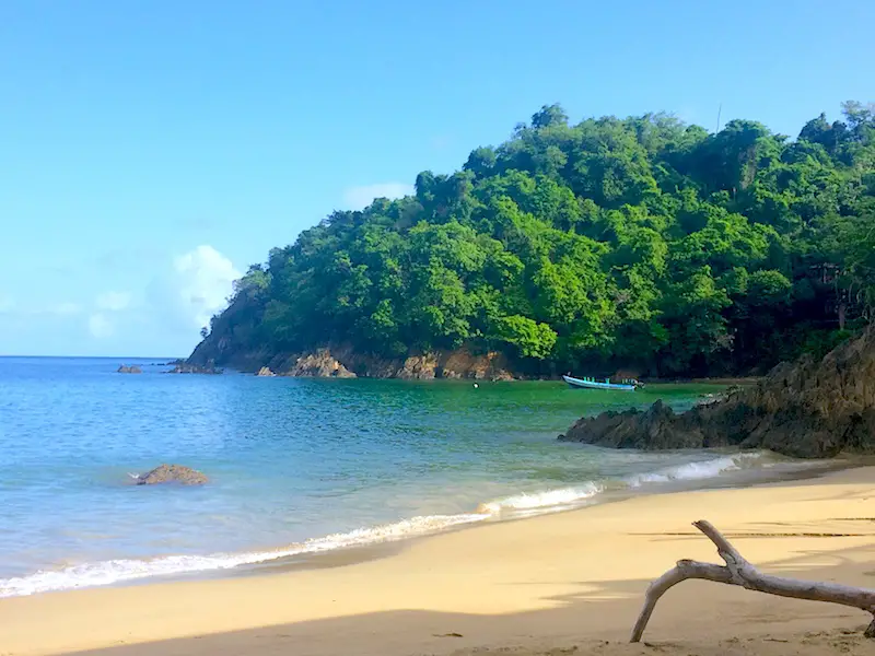 Golden sand, turquoise water and forest of Castara Bay, Tobago.