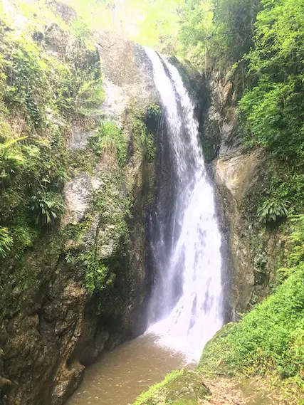 Highland Waterfall gushing through a narrow gorge between rocks in Tobago.