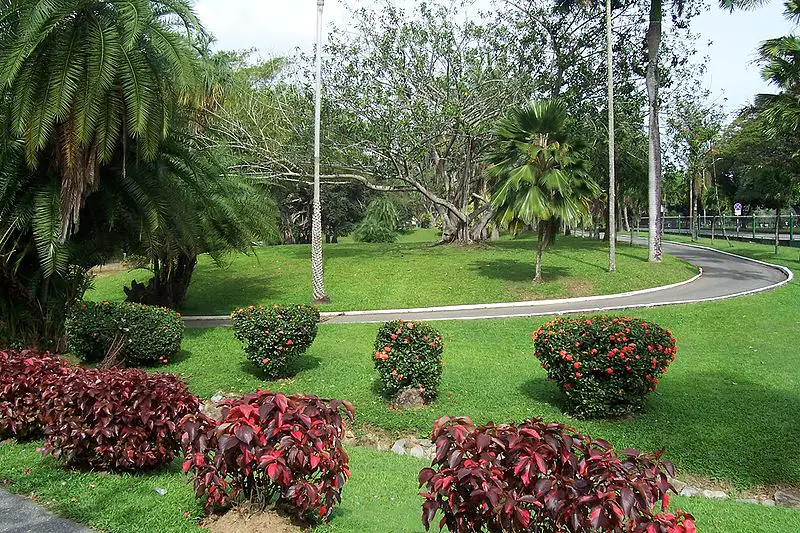 Colourful shrubs and path in Port of Spain Botanical Gardens