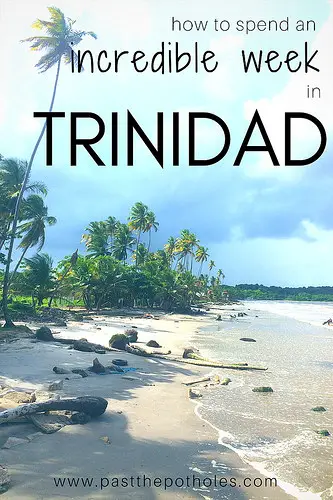 Coconut palm lined deserted Caribbean beach with text: How to spend an incredible week in Trinidad