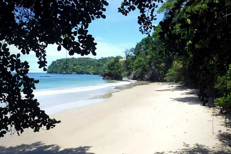 View of an empty Caribbean beach in Trinidad from between the trees