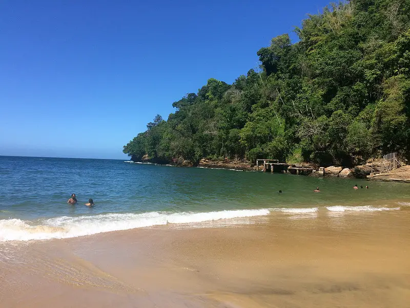 Golden sand and emerald waters of Macqueripe Bay with people snorkelling.