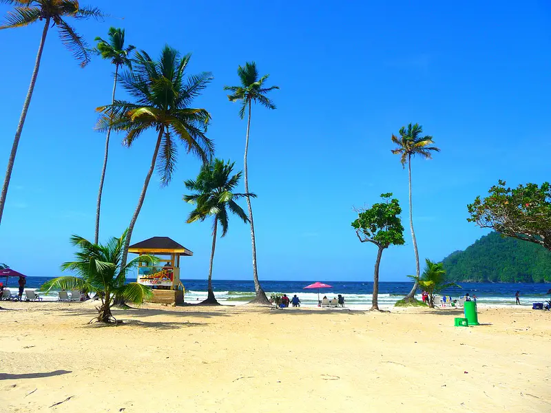 Palm trees and yellow lifeguard hut on Maracas Bay Beach, Trinidad