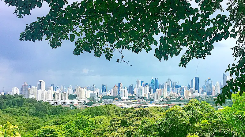 View of tall buildings in Panama City skyline through forest.