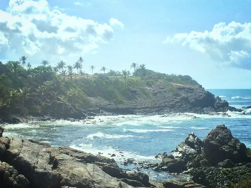 Rocky bay with blue water and palm trees on Trinidad's north east coast.