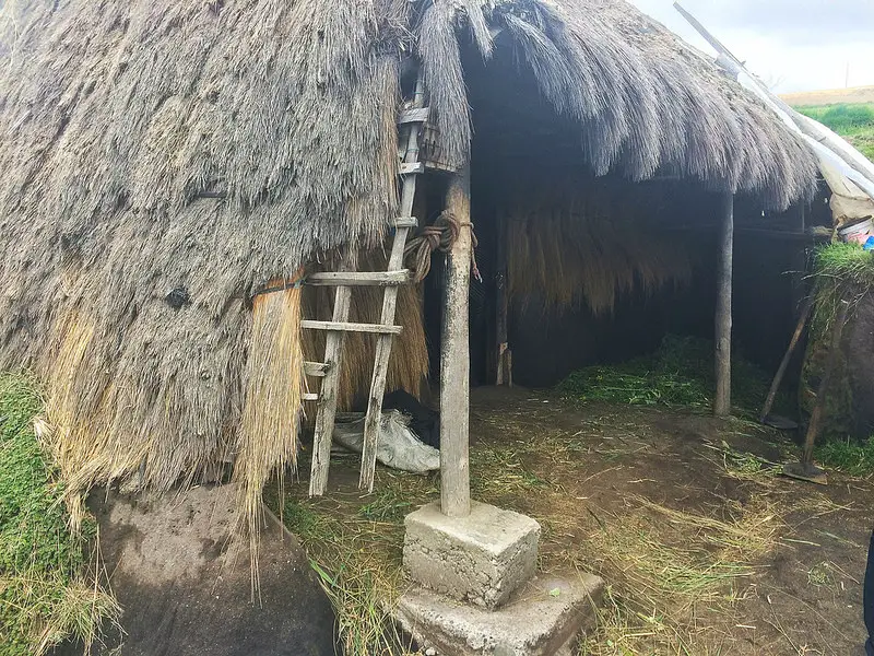 Traditional house in the Andes made of wood, grasses and dug into the hillside in Ecuador.