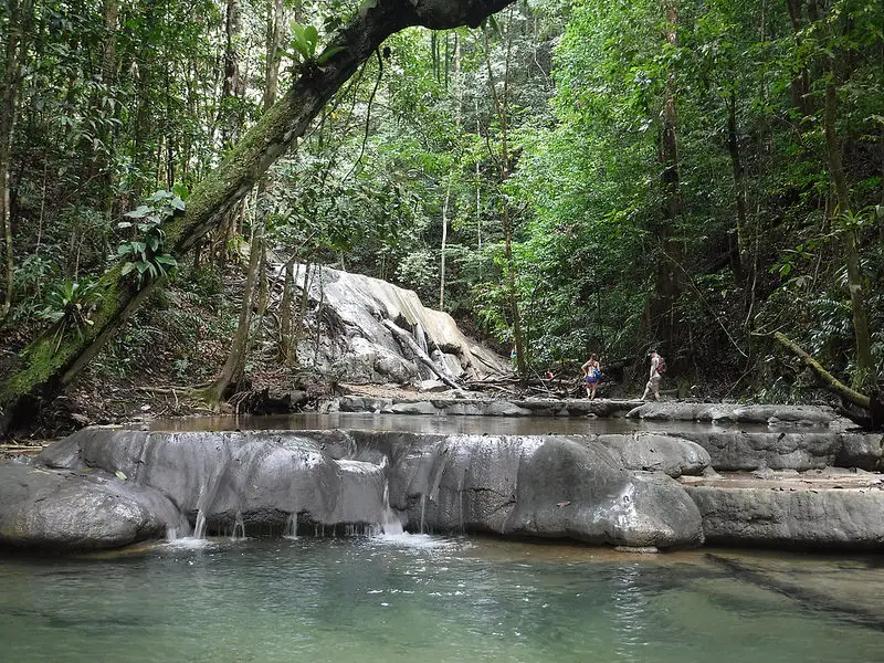 People hiking through the water at Turure Watersteps, Trinidad