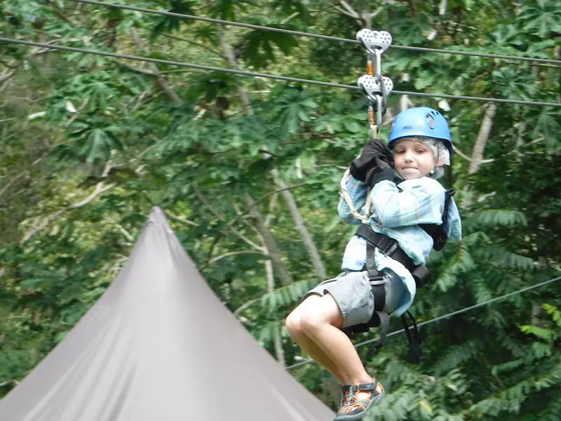 Young boy zip lining in jungle, Trinidad