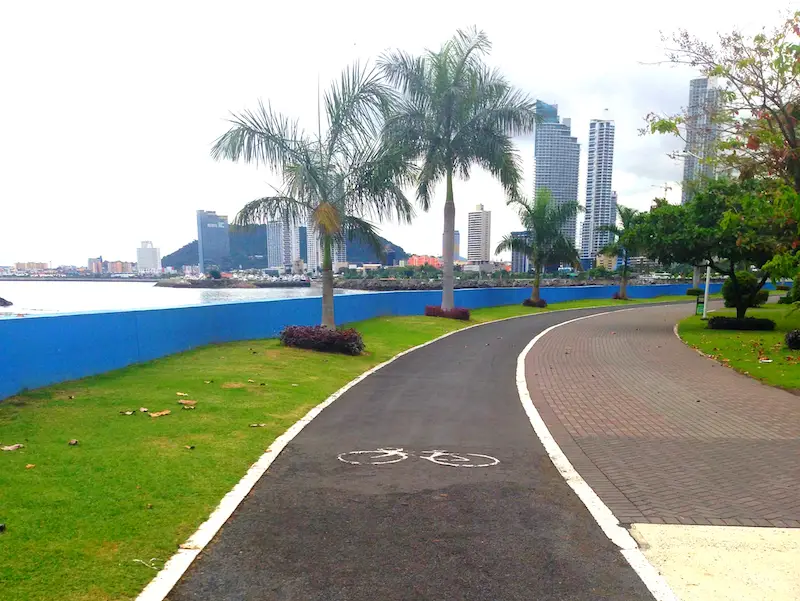 Bike path with grass and palm trees bordering the Pacific Ocean on the Cinta Costera, Panama City, Panama.