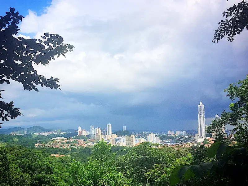 View of many tall buildings in Panama City skyline through forest cover