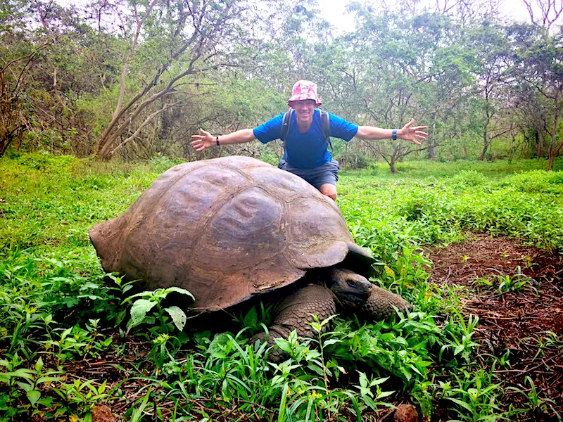 Man standing with his arms wide behind a giant Galapagos tortoise that is as wide as his arm span.