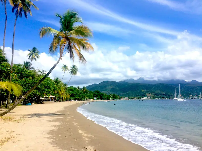 Palm trees reaching over golden beach to blue Caribbean Sea in Dominica.