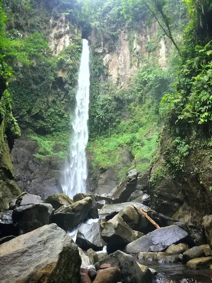 Tall, thin waterfall buried in the jungle in Dominica.