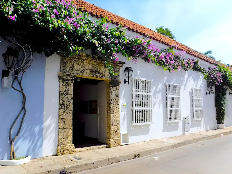 White building with stone entrance and purple bougainvillea growing across it in Cartagena, Colombia.