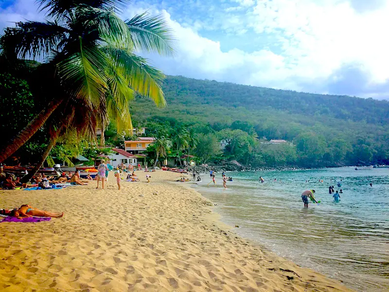 Anse Dufour beach with people laying under palm trees or snorkelling in water, Martinique.