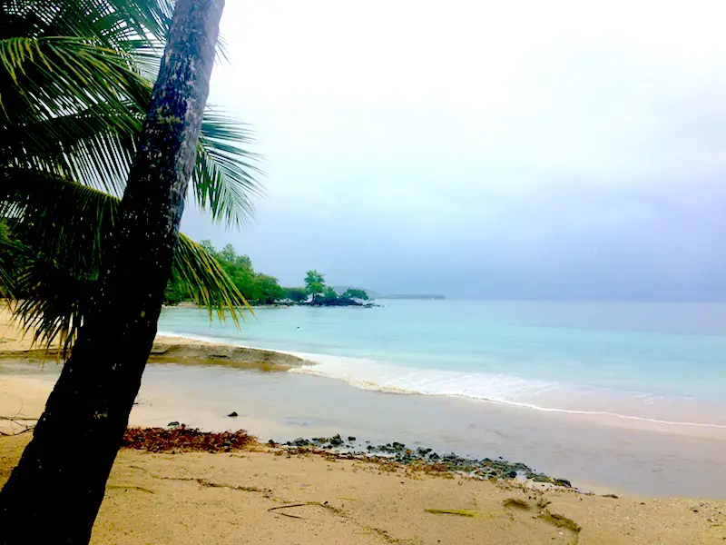 Empty beach at Anse Figuier, great snorkelling in Martinique.