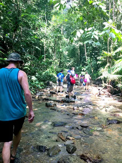 Group hiking up a rocky riverbed surrounded by dense jungle