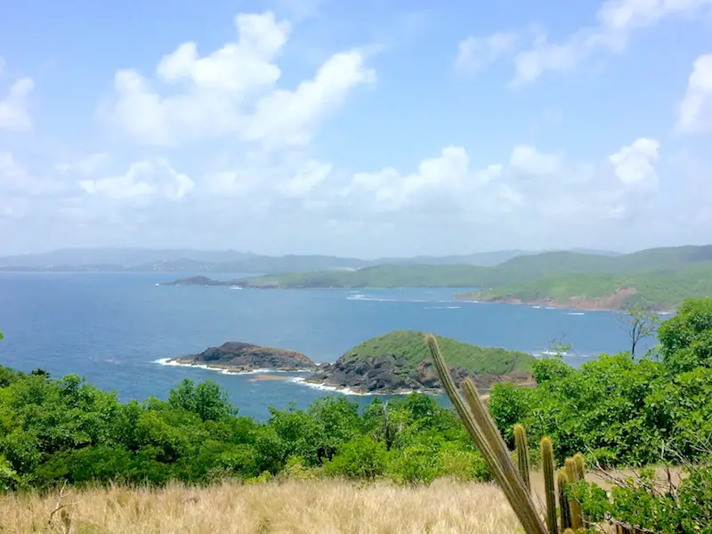 View of blue sea at Presqu'ile de la Caravelle across cactus and green hills in Martinique.