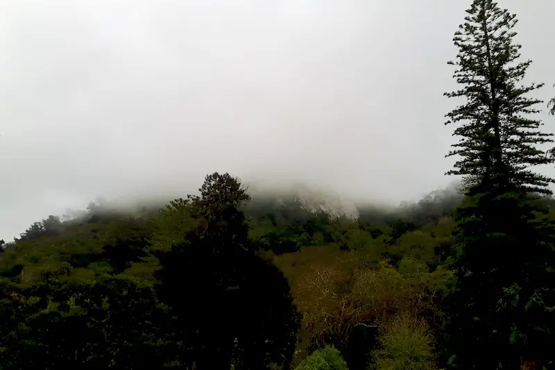 Looking up a hill completely shrouded in cloud in Sintra, Portugal.