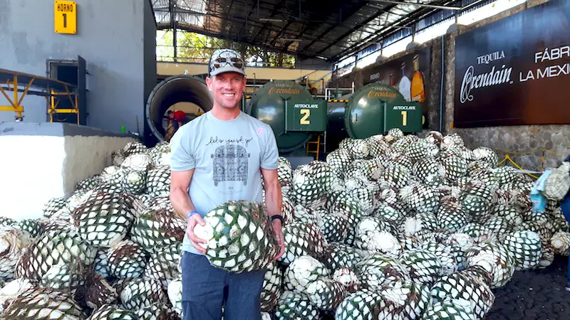 Man holding an agave plant with a huge pile behind in a tequila factory tour in Tequila, Mexico.