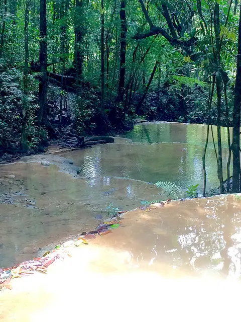 A series of limestone waterfall terraces with pools of clear water in the Trinidad jungle.