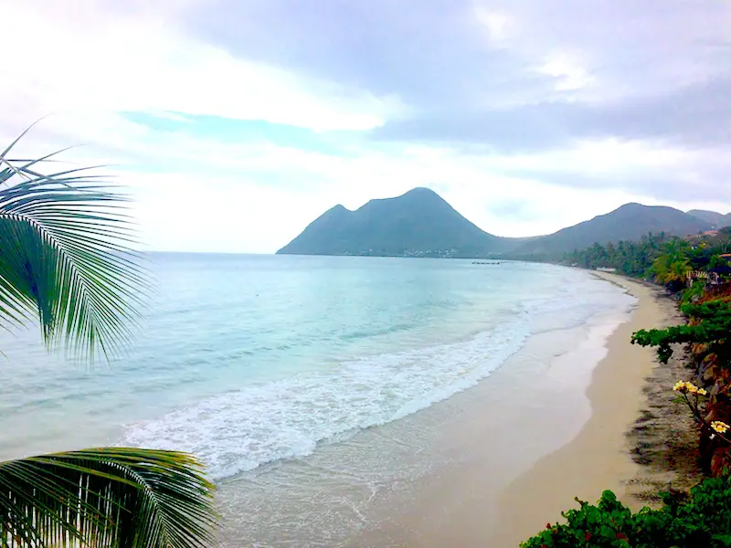 The beach at Le Diamant from one east end with palm leaves in foreground, Martinique.