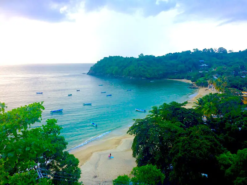 Crescent-shaped bay from above with emerald water and backed by jungle, Castara Bay in Tobago