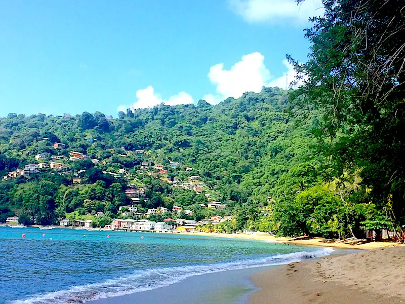 Long, crescent bay with colourful houses and jungle climbing up the hillside in Charlotteville, Tobago.