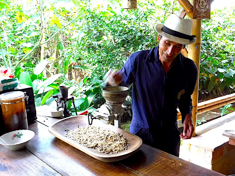 Coffee worker grinding coffee beans on coffee plantation in Salento, Colombia.