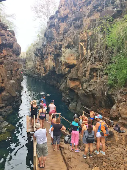 Crowd of people on the dock waiting to get into a narrow channel of water with steep lava rock cliffs on both sides in the Galapagos