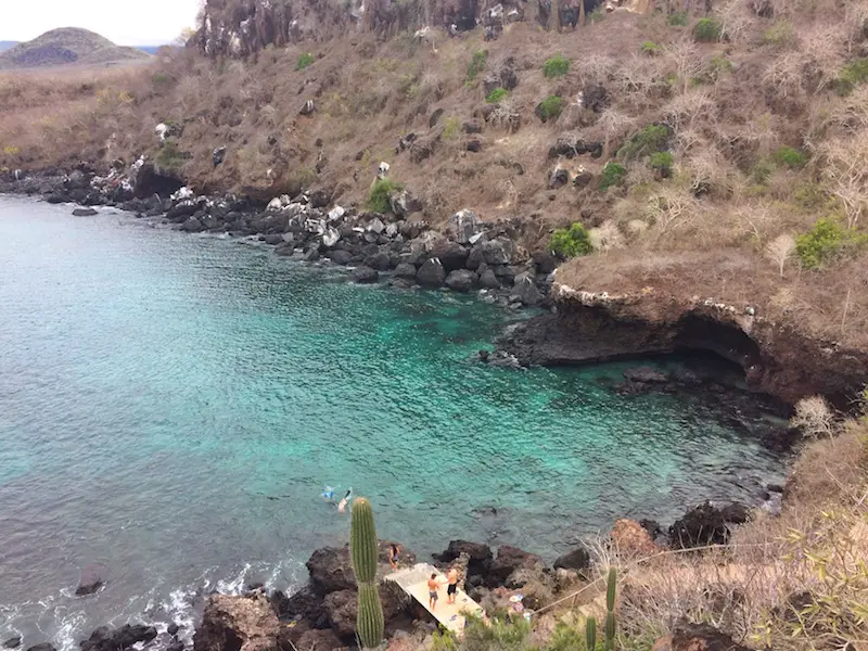 Crystal clear emerald water of Darwins Cove with people snorkelling.