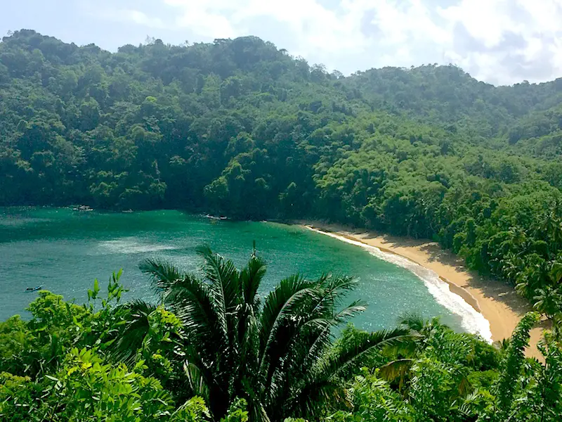 Emerald bay from above, surrounded by dense jungle. Englishman's Bay, Tobago