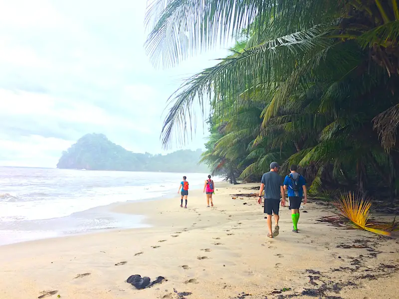 Four people hiking along an empty palm backed Caribbean beach in Trinidad