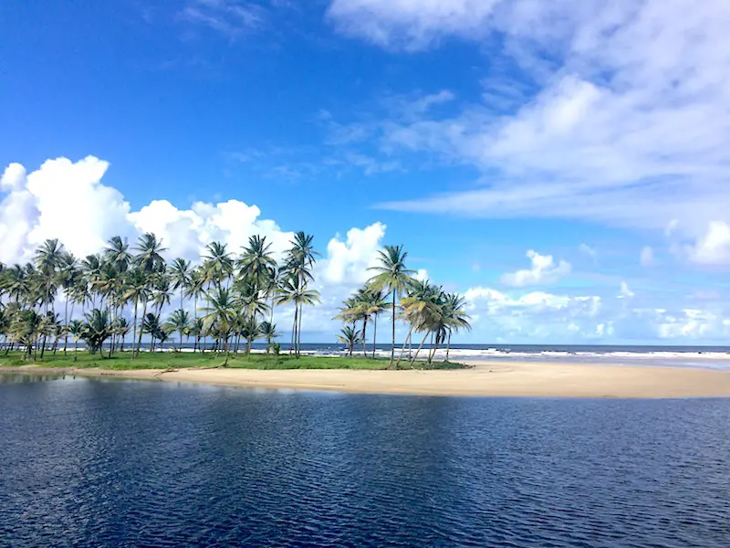 Palm trees on a sand bar separating Mayaro River from Atlantic Ocean in Trinidad